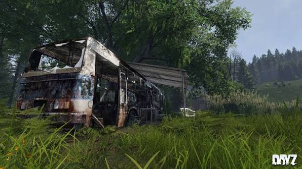 Dayz Image