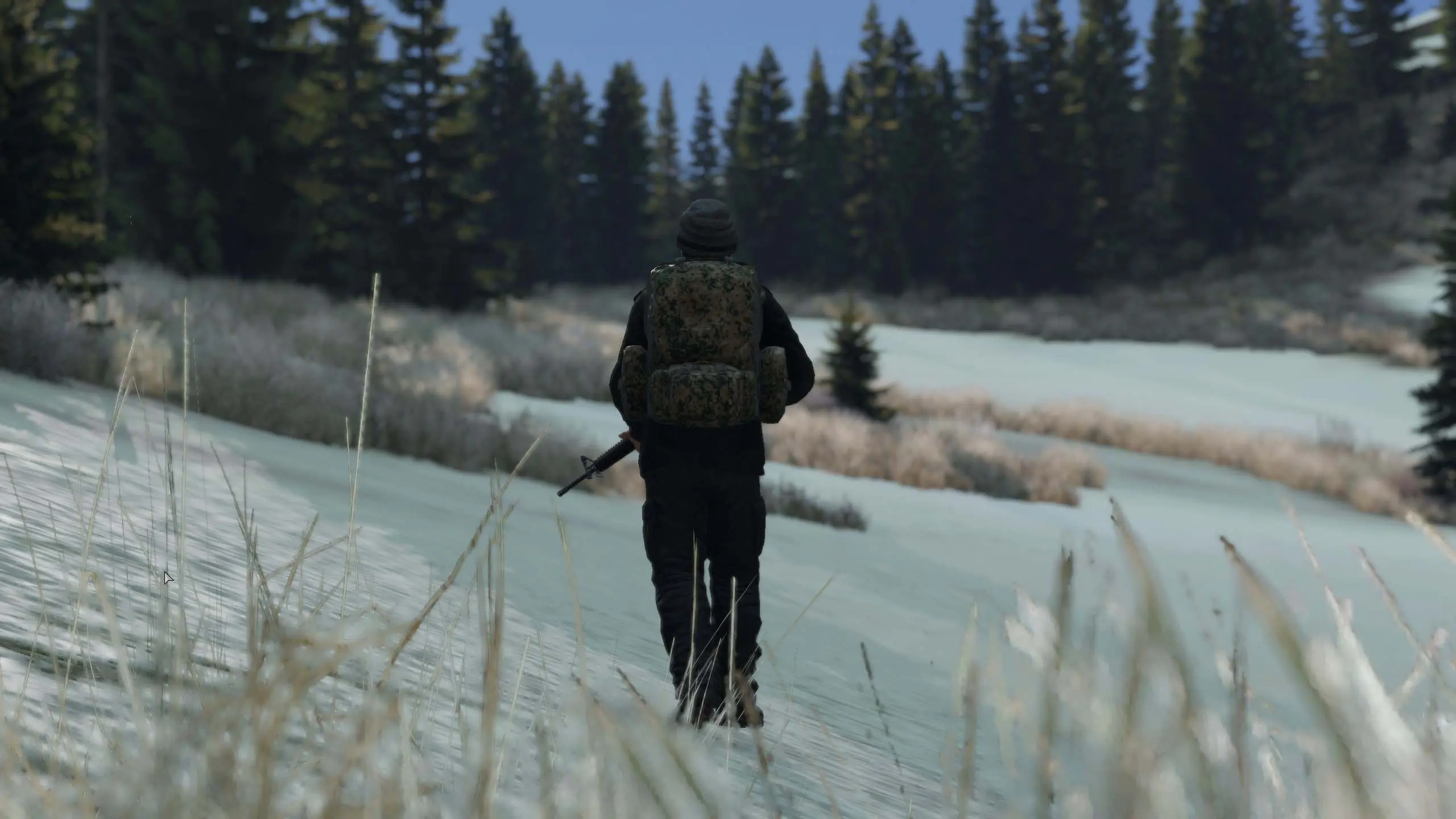 DayZ Chernarus Map