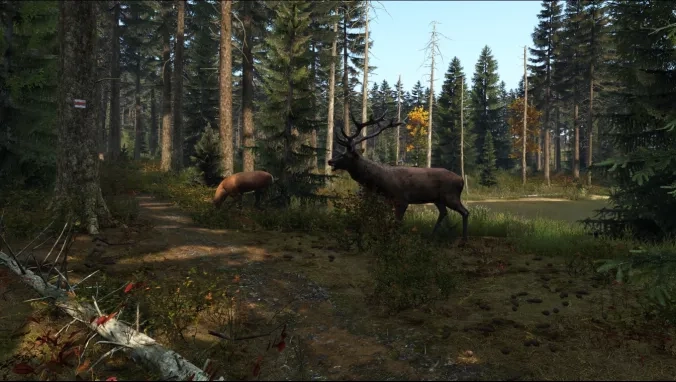 Deer/Elk eating in the forest, dayz bunker, livonia map